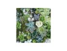 【その他のブランド/Other】のBotanic Succulents / ボタニック サキュレント スクエア -|ID: prp329100004946008 ipo3291000000037122172