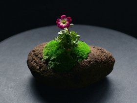 【雨/Ame / GOODS】の時山 - tokiyama - / 時山 浮石 大 人気、トレンドファッション・服の通販 founy(ファニー) 送料無料 Free Shipping ガラス Glass, Glassware フラワー Flower, Floral ホーム・キャンプ・アウトドア・お取り寄せ Home Living / Home & Lifestyle / Camping Gear / Outdoor Camping 家具・インテリア Home Furniture & Interior. Stylish & Functional Living Spaces その他 インテリア雑貨、家具 Home Decor & Furniture Extras |ID:prp329100004946014