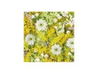 【その他のブランド/Other】のPastel Bloom Mimosa Yellow / パステルブルーム ミモザ スクエア -|ID: prp329100004946084 ipo3291000000037122565