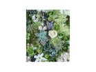 【その他のブランド/Other】のBotanic Succulents / ボタニック サキュレント レクタングルM -|ID: prp329100004946110 ipo3291000000037122668
