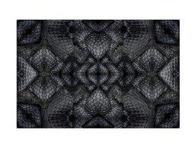 【モーイ/moooi / GOODS】のExtinct Animal Rug DWARF RHINO / ドワーフライノ 人気、トレンドファッション・服の通販 founy(ファニー) コレクション Collection, Seasonal Line シルバー Silver, Metallic Silver パターン Pattern, Design Print メタリック Metallic, Shiny Finish 送料無料 Free Shipping ホーム・キャンプ・アウトドア・お取り寄せ Home Living / Home & Lifestyle / Camping Gear / Outdoor Camping 家具・インテリア Home Furniture & Interior. Stylish & Functional Living Spaces その他 インテリア雑貨、家具 Home Decor & Furniture Extras |ID:prp329100004946283