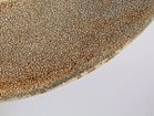 【ミシンポタリークリエーション/MISHIM POTTERY CREATION / GOODS】のfractal cake plate + stand / フラクタル ケーキプレート + スタンド(サビ) 生産工程の中で梅花皮が剥がれたり取れることがありますが、釉薬をかけた後は自然に剥がれることはありませ|ID: prp329100004947210 ipo3291000000037127948