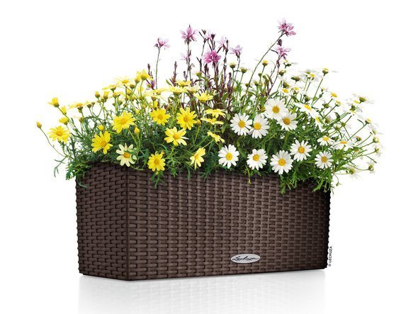 【レチューザ/Lechuza / GOODS】のCottage Balconera 50 / コテージ バルコネラ 50 底面灌水セット付 インテリア・キッズ・メンズ・レディースファッション・服の通販 founy(ファニー) 　ライナー　Liner, Inner Layer　送料無料　Free Shipping　おすすめ　Recommended / Our Picks　ホーム・キャンプ・アウトドア・お取り寄せ　Home Living / Home & Lifestyle / Camping Gear / Outdoor Camping　家具・インテリア　Home Furniture & Interior. Stylish & Functional Living Spaces　その他 インテリア雑貨、家具　Home Decor & Furniture Extras　モカ|ID: prp329100004947831 ipo3291000000037130519