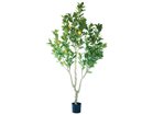 【ブラウン/BROWN / GOODS】のLemon Tree Pot / レモンの木 ポット 220 -|ID: prp329100004947835 ipo3291000000037130540