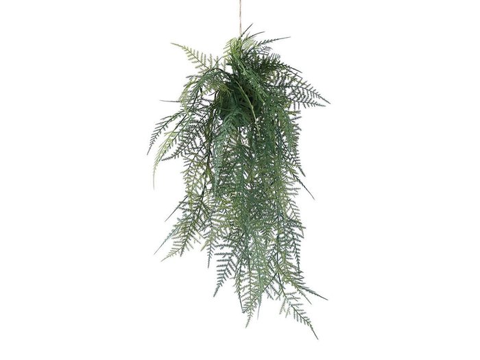 【ブラウン/BROWN / GOODS】のFern Hanging Ball / ファーン ハンギングボール 53 インテリア・キッズ・メンズ・レディースファッション・服の通販 founy(ファニー) https://founy.com/ おすすめ Recommended / Our Picks リラックス Relax, Relaxed Fit ホーム・キャンプ・アウトドア・お取り寄せ Home Living / Home & Lifestyle / Camping Gear / Outdoor Camping 家具・インテリア Home Furniture & Interior. Stylish & Functional Living Spaces その他 インテリア雑貨、家具 Home Decor & Furniture Extras |ID: prp329100004947859 ipo3291000000037130650