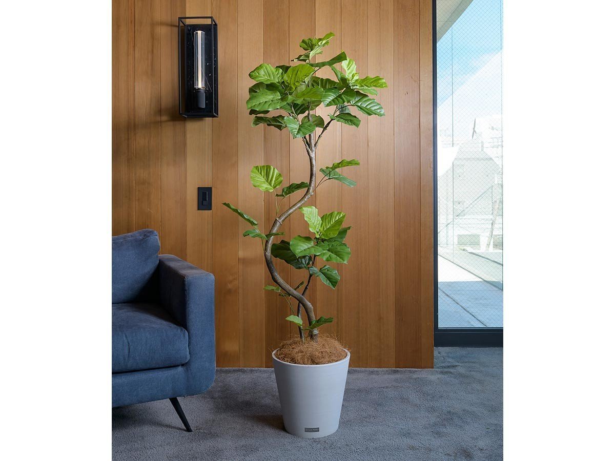 【エミリオロバ/EMILIO ROBBA】のUMBELLATA / ウンベラータ 人気、トレンドファッション・服の通販 founy(ファニー) 　送料無料　Free Shipping　コレクション　Collection, Seasonal Line　シンプル　Simple, Minimal　ホーム・キャンプ・アウトドア・お取り寄せ　Home Living / Home & Lifestyle / Camping Gear / Outdoor Camping　家具・インテリア　Home Furniture & Interior. Stylish & Functional Living Spaces　その他 インテリア雑貨、家具　Home Decor & Furniture Extras　 other-1|ID: prp329100004947863 ipo3291000000037130672