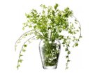 【エルエスエー インターナショナル/LSA international / GOODS】のFLOWER GARDEN BOUQUET VASE / フラワー ガーデンブーケベース -|ID: prp329100004947868 ipo3291000000037130708