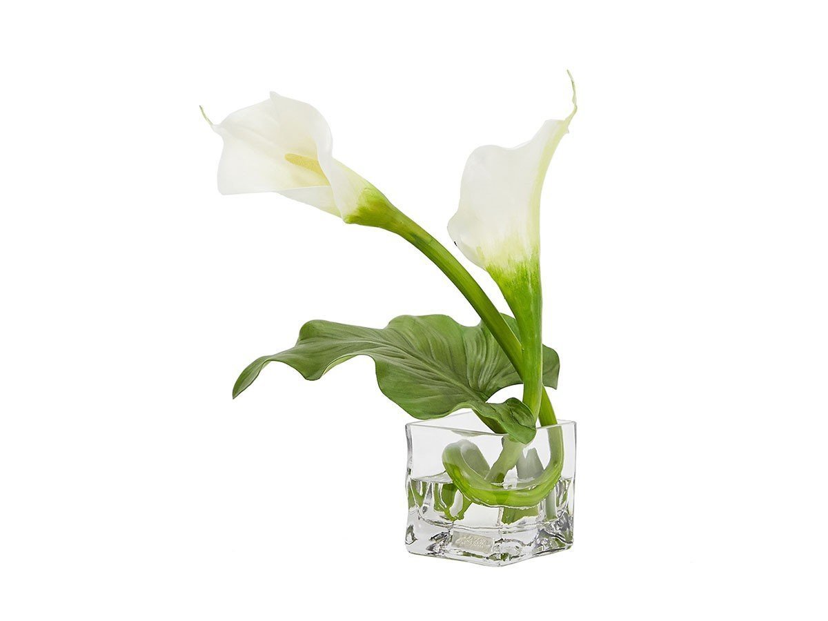 【エミリオロバ/EMILIO ROBBA】のCALLA / カラー M 人気、トレンドファッション・服の通販 founy(ファニー) 　送料無料　Free Shipping　コレクション　Collection, Seasonal Line　シリコン　Silicone, Silicone Material　シンプル　Simple, Minimal　スタイリッシュ　Stylish, Fashionable　フォルム　Silhouette, Form　フラワー　Flower, Floral　リアル　Real, Realistic　ホーム・キャンプ・アウトドア・お取り寄せ　Home Living / Home & Lifestyle / Camping Gear / Outdoor Camping　家具・インテリア　Home Furniture & Interior. Stylish & Functional Living Spaces　その他 インテリア雑貨、家具　Home Decor & Furniture Extras　 other-1|ID: prp329100004947877 ipo3291000000037130805