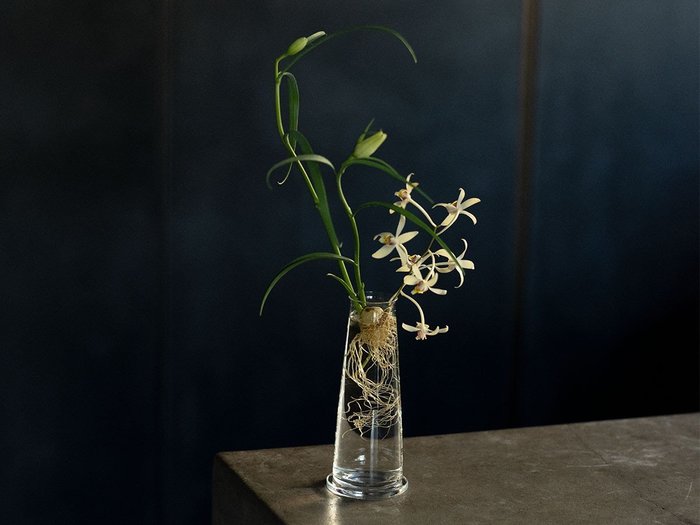 【マルティプル ティストゥー/multiple TISTOU / GOODS】のHIVE 160 / ハイヴ 160 インテリア・キッズ・メンズ・レディースファッション・服の通販 founy(ファニー) https://founy.com/ ガラス Glass, Glassware シンプル Simple, Minimal テーブル Table, Dining Table バランス Balance, Style Balance フィット Fit, Slim Fit フォルム Silhouette, Form フラワー Flower, Floral ホーム・キャンプ・アウトドア・お取り寄せ Home Living / Home & Lifestyle / Camping Gear / Outdoor Camping 家具・インテリア Home Furniture & Interior. Stylish & Functional Living Spaces その他 インテリア雑貨、家具 Home Decor & Furniture Extras |ID: prp329100004947878 ipo3291000000037130807