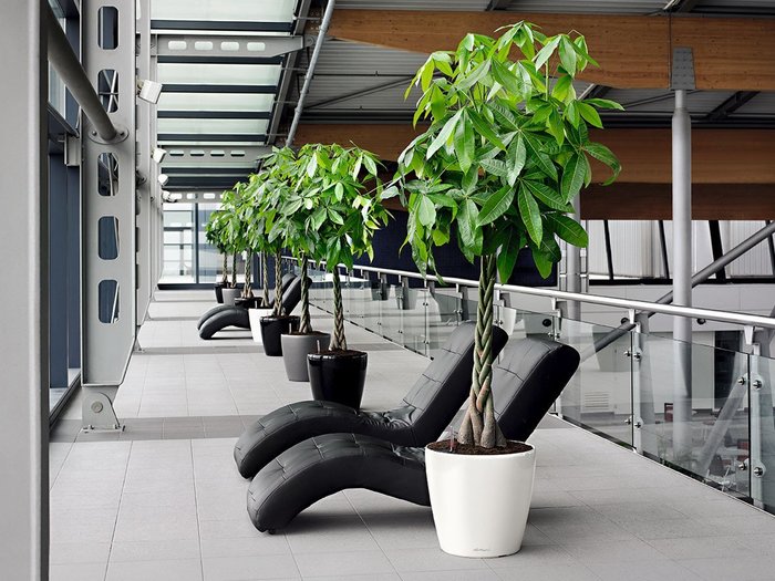 【レチューザ/Lechuza / GOODS】のClassico JOKER 50 / クラシコ・ジョーカー50 底面灌水セット付 インテリア・キッズ・メンズ・レディースファッション・服の通販 founy(ファニー) https://founy.com/ ライナー Liner, Inner Layer 送料無料 Free Shipping おすすめ Recommended / Our Picks ホーム・キャンプ・アウトドア・お取り寄せ Home Living / Home & Lifestyle / Camping Gear / Outdoor Camping 家具・インテリア Home Furniture & Interior. Stylish & Functional Living Spaces その他 インテリア雑貨、家具 Home Decor & Furniture Extras |ID: prp329100004947888 ipo3291000000037130869