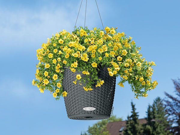 【レチューザ/Lechuza / GOODS】のCottage Nido / コテージニド 底面灌水セット付 人気、トレンドファッション・服の通販 founy(ファニー) 　ライナー　Liner, Inner Layer　送料無料　Free Shipping　おすすめ　Recommended / Our Picks　ホーム・キャンプ・アウトドア・お取り寄せ　Home Living / Home & Lifestyle / Camping Gear / Outdoor Camping　家具・インテリア　Home Furniture & Interior. Stylish & Functional Living Spaces　その他 インテリア雑貨、家具　Home Decor & Furniture Extras　 other-1|ID: prp329100004947889 ipo3291000000037130883