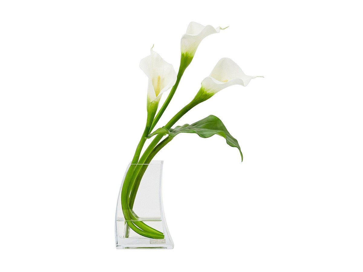 【エミリオロバ/EMILIO ROBBA】のCALLA / カラー 2M インテリア・キッズ・メンズ・レディースファッション・服の通販 founy(ファニー) 　送料無料　Free Shipping　コレクション　Collection, Seasonal Line　シリコン　Silicone, Silicone Material　シンプル　Simple, Minimal　スタイリッシュ　Stylish, Fashionable　フォルム　Silhouette, Form　フラワー　Flower, Floral　リアル　Real, Realistic　ホーム・キャンプ・アウトドア・お取り寄せ　Home Living / Home & Lifestyle / Camping Gear / Outdoor Camping　家具・インテリア　Home Furniture & Interior. Stylish & Functional Living Spaces　その他 インテリア雑貨、家具　Home Decor & Furniture Extras　-|ID: prp329100004947900 ipo3291000000037130939