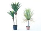 【ブラウン/BROWN / GOODS】のYucca Pot / ユッカ ポット 115 左:本商品、右:ユッカ ポット 85|ID: prp329100004947922 ipo3291000000037131023