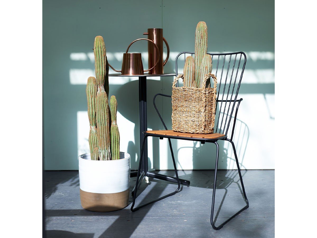 【ブラウン/BROWN / GOODS】のColumn Cactus Pot / 柱サボテン ポット 63 インテリア・キッズ・メンズ・レディースファッション・服の通販 founy(ファニー) 　おすすめ　Recommended / Our Picks　ホーム・キャンプ・アウトドア・お取り寄せ　Home Living / Home & Lifestyle / Camping Gear / Outdoor Camping　家具・インテリア　Home Furniture & Interior. Stylish & Functional Living Spaces　その他 インテリア雑貨、家具　Home Decor & Furniture Extras　左:柱サボテン ポット 91、右:本商品|ID: prp329100004947926 ipo3291000000037131035