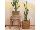 【ブラウン/BROWN / GOODS】のColumn Cactus Pot / 柱サボテン ポット 118 左:ウチワサボテン ポット 100、右:本商品|ID: prp329100004947927 ipo3291000000037131039