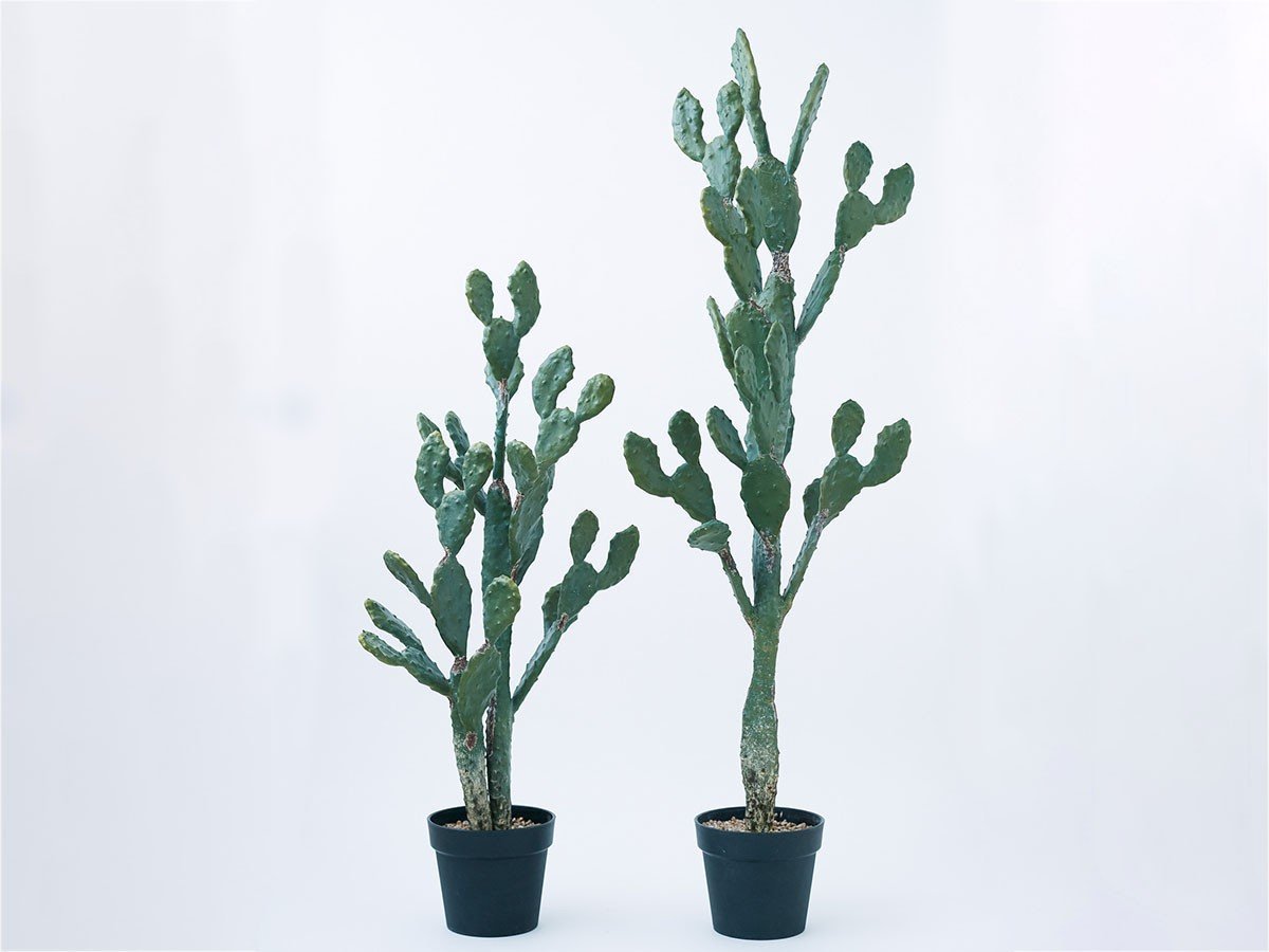 【ブラウン/BROWN / GOODS】のPrickly Pear Cactus Pot / ウチワサボテン ポット 130 インテリア・キッズ・メンズ・レディースファッション・服の通販 founy(ファニー) 　送料無料　Free Shipping　おすすめ　Recommended / Our Picks　ホーム・キャンプ・アウトドア・お取り寄せ　Home Living / Home & Lifestyle / Camping Gear / Outdoor Camping　家具・インテリア　Home Furniture & Interior. Stylish & Functional Living Spaces　その他 インテリア雑貨、家具　Home Decor & Furniture Extras　サイズ展開がありますので、鉢や設置場所、空間に合わせてお選びいただけます。左:高さ1|ID: prp329100004947930 ipo3291000000037131053