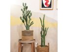 【ブラウン/BROWN / GOODS】のPrickly Pear Cactus Pot / ウチワサボテン ポット 100 左:本商品、右:柱サボテン ポット 118|ID: prp329100004947931 ipo3291000000037131060