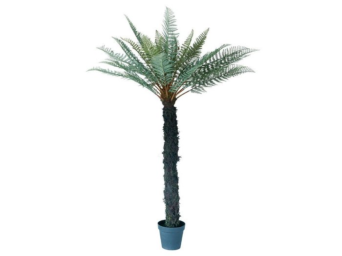 【ブラウン/BROWN / GOODS】のDicksonia Pot / ディクソニア ポット 183 インテリア・キッズ・メンズ・レディースファッション・服の通販 founy(ファニー) https://founy.com/ 送料無料 Free Shipping おすすめ Recommended / Our Picks ホーム・キャンプ・アウトドア・お取り寄せ Home Living / Home & Lifestyle / Camping Gear / Outdoor Camping 家具・インテリア Home Furniture & Interior. Stylish & Functional Living Spaces その他 インテリア雑貨、家具 Home Decor & Furniture Extras |ID: prp329100004947935 ipo3291000000037131068