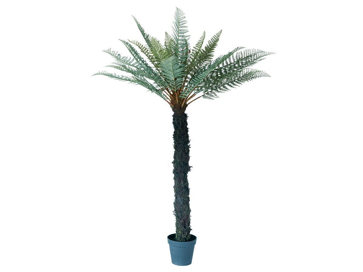 【ブラウン/BROWN / GOODS】のDicksonia Pot / ディクソニア ポット 183 インテリア・キッズ・メンズ・レディースファッション・服の通販 founy(ファニー) 　送料無料　Free Shipping　おすすめ　Recommended / Our Picks　ホーム・キャンプ・アウトドア・お取り寄せ　Home Living / Home & Lifestyle / Camping Gear / Outdoor Camping　家具・インテリア　Home Furniture & Interior. Stylish & Functional Living Spaces　その他 インテリア雑貨、家具　Home Decor & Furniture Extras　-|ID: prp329100004947935 ipo3291000000037131069