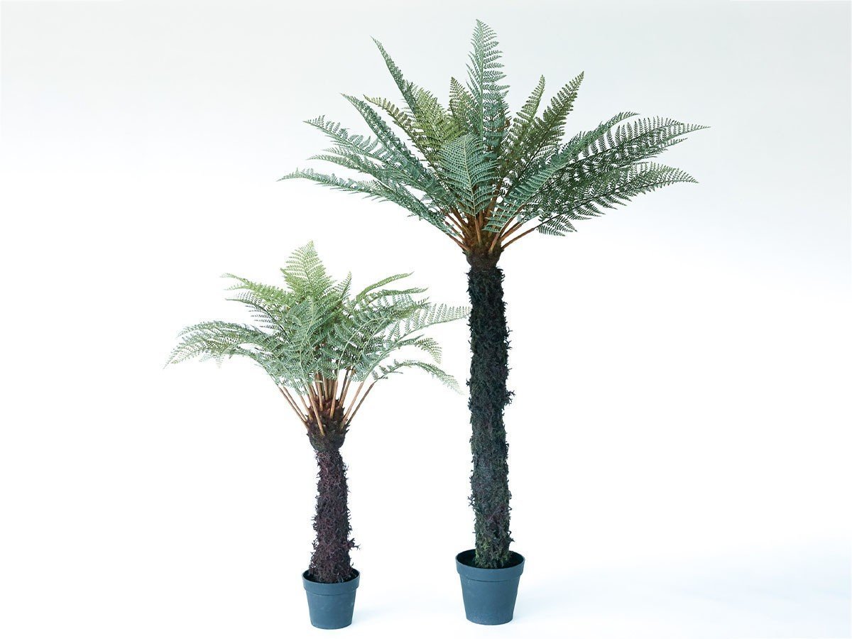 【ブラウン/BROWN / GOODS】のDicksonia Pot / ディクソニア ポット 183 インテリア・キッズ・メンズ・レディースファッション・服の通販 founy(ファニー) 　送料無料　Free Shipping　おすすめ　Recommended / Our Picks　ホーム・キャンプ・アウトドア・お取り寄せ　Home Living / Home & Lifestyle / Camping Gear / Outdoor Camping　家具・インテリア　Home Furniture & Interior. Stylish & Functional Living Spaces　その他 インテリア雑貨、家具　Home Decor & Furniture Extras　サイズ展開がありますので、鉢や設置場所、空間に合わせてお選びいただけます。左:高さ1|ID: prp329100004947935 ipo3291000000037131070