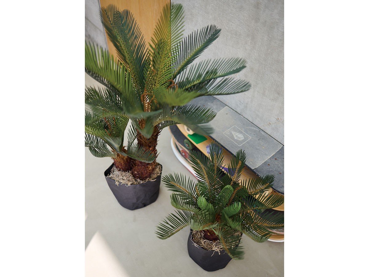 【ブラウン/BROWN / GOODS】のCycad Pot / ソテツ ポット 86 インテリア・キッズ・メンズ・レディースファッション・服の通販 founy(ファニー) 　送料無料　Free Shipping　おすすめ　Recommended / Our Picks　ホーム・キャンプ・アウトドア・お取り寄せ　Home Living / Home & Lifestyle / Camping Gear / Outdoor Camping　家具・インテリア　Home Furniture & Interior. Stylish & Functional Living Spaces　その他 インテリア雑貨、家具　Home Decor & Furniture Extras　左:本商品、右:掲載外|ID: prp329100004947941 ipo3291000000037131095