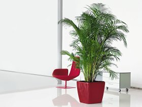 【レチューザ/Lechuza / GOODS】のQuadro JOKER 43 / クアドロ・ジョーカー43 底面灌水セット付 人気、トレンドファッション・服の通販 founy(ファニー) 定番 Standard, Basic Item ライナー Liner, Inner Layer 送料無料 Free Shipping おすすめ Recommended / Our Picks ホーム・キャンプ・アウトドア・お取り寄せ Home Living / Home & Lifestyle / Camping Gear / Outdoor Camping 家具・インテリア Home Furniture & Interior. Stylish & Functional Living Spaces その他 インテリア雑貨、家具 Home Decor & Furniture Extras |ID:prp329100004947947