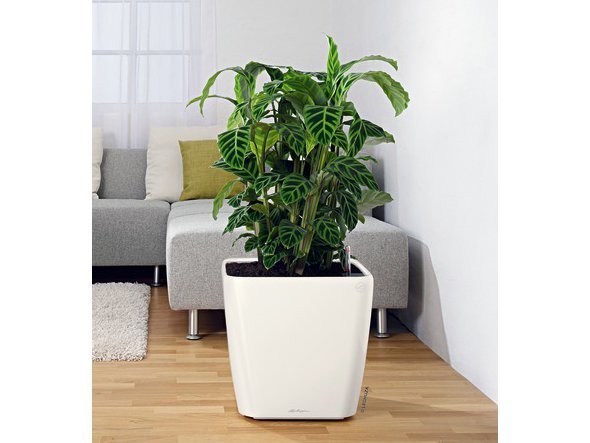 【レチューザ/Lechuza / GOODS】のQuadro JOKER 43 / クアドロ・ジョーカー43 底面灌水セット付 インテリア・キッズ・メンズ・レディースファッション・服の通販 founy(ファニー) 　定番　Standard, Basic Item　ライナー　Liner, Inner Layer　送料無料　Free Shipping　おすすめ　Recommended / Our Picks　ホーム・キャンプ・アウトドア・お取り寄せ　Home Living / Home & Lifestyle / Camping Gear / Outdoor Camping　家具・インテリア　Home Furniture & Interior. Stylish & Functional Living Spaces　その他 インテリア雑貨、家具　Home Decor & Furniture Extras　ホワイト(クリアカラー)|ID: prp329100004947947 ipo3291000000037131131