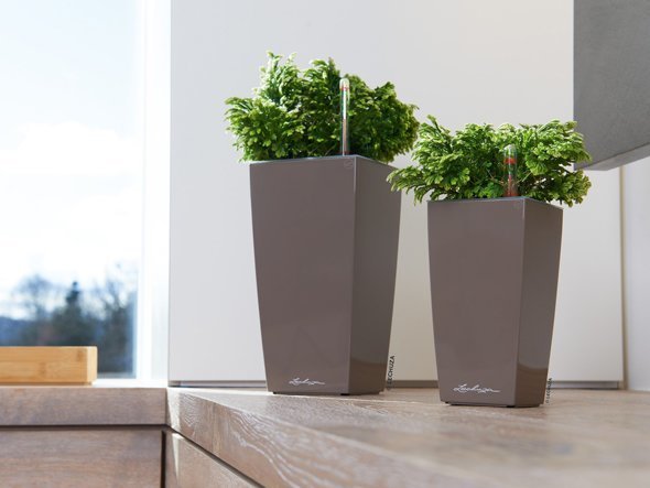 【レチューザ/Lechuza / GOODS】のMax Cubi / マックスキュービ 底面灌水セット付 インテリア・キッズ・メンズ・レディースファッション・服の通販 founy(ファニー) 　デスク　Desk, Work Desk　ライナー　Liner, Inner Layer　おすすめ　Recommended / Our Picks　ホーム・キャンプ・アウトドア・お取り寄せ　Home Living / Home & Lifestyle / Camping Gear / Outdoor Camping　家具・インテリア　Home Furniture & Interior. Stylish & Functional Living Spaces　その他 インテリア雑貨、家具　Home Decor & Furniture Extras　左:グレーベージュ(クリアカラー)、右:サイズ違いの参考商品|ID: prp329100004947955 ipo3291000000037131183