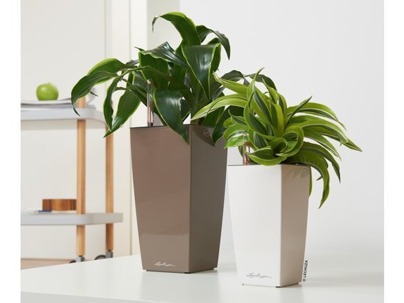 【レチューザ/Lechuza / GOODS】のMax Cubi / マックスキュービ 底面灌水セット付 インテリア・キッズ・メンズ・レディースファッション・服の通販 founy(ファニー) 　デスク　Desk, Work Desk　ライナー　Liner, Inner Layer　おすすめ　Recommended / Our Picks　ホーム・キャンプ・アウトドア・お取り寄せ　Home Living / Home & Lifestyle / Camping Gear / Outdoor Camping　家具・インテリア　Home Furniture & Interior. Stylish & Functional Living Spaces　その他 インテリア雑貨、家具　Home Decor & Furniture Extras　左:グレーベージュ(クリアカラー)、右:サイズ違いの参考商品|ID: prp329100004947955 ipo3291000000037131184