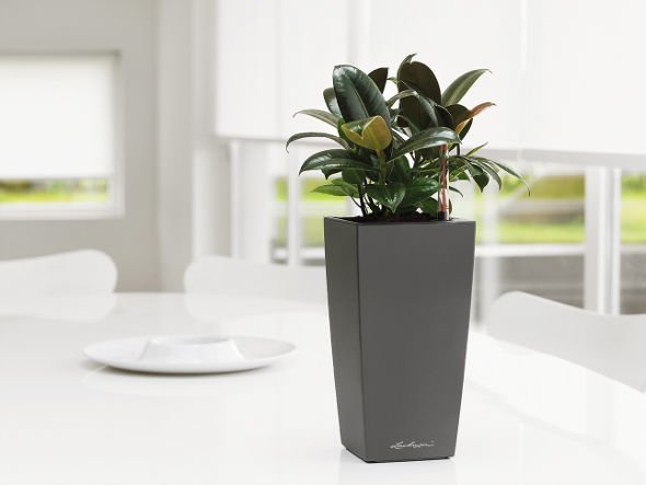 【レチューザ/Lechuza / GOODS】のMax Cubi / マックスキュービ 底面灌水セット付 インテリア・キッズ・メンズ・レディースファッション・服の通販 founy(ファニー) 　デスク　Desk, Work Desk　ライナー　Liner, Inner Layer　おすすめ　Recommended / Our Picks　ホーム・キャンプ・アウトドア・お取り寄せ　Home Living / Home & Lifestyle / Camping Gear / Outdoor Camping　家具・インテリア　Home Furniture & Interior. Stylish & Functional Living Spaces　その他 インテリア雑貨、家具　Home Decor & Furniture Extras　チャコール(マットカラー)|ID: prp329100004947955 ipo3291000000037131185