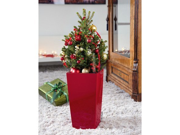 【レチューザ/Lechuza / GOODS】のMax Cubi / マックスキュービ 底面灌水セット付 インテリア・キッズ・メンズ・レディースファッション・服の通販 founy(ファニー) 　デスク　Desk, Work Desk　ライナー　Liner, Inner Layer　おすすめ　Recommended / Our Picks　ホーム・キャンプ・アウトドア・お取り寄せ　Home Living / Home & Lifestyle / Camping Gear / Outdoor Camping　家具・インテリア　Home Furniture & Interior. Stylish & Functional Living Spaces　その他 インテリア雑貨、家具　Home Decor & Furniture Extras　スカーレット(クリアカラー)|ID: prp329100004947955 ipo3291000000037131187