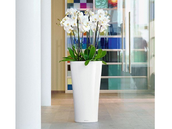 【レチューザ/Lechuza / GOODS】のDelta / デルタ 底面灌水セット付 インテリア・キッズ・メンズ・レディースファッション・服の通販 founy(ファニー) https://founy.com/ ドット Polka Dot, Dot Pattern フォルム Silhouette, Form ライナー Liner, Inner Layer 送料無料 Free Shipping おすすめ Recommended / Our Picks ホーム・キャンプ・アウトドア・お取り寄せ Home Living / Home & Lifestyle / Camping Gear / Outdoor Camping 家具・インテリア Home Furniture & Interior. Stylish & Functional Living Spaces その他 インテリア雑貨、家具 Home Decor & Furniture Extras |ID: prp329100004947958 ipo3291000000037131206