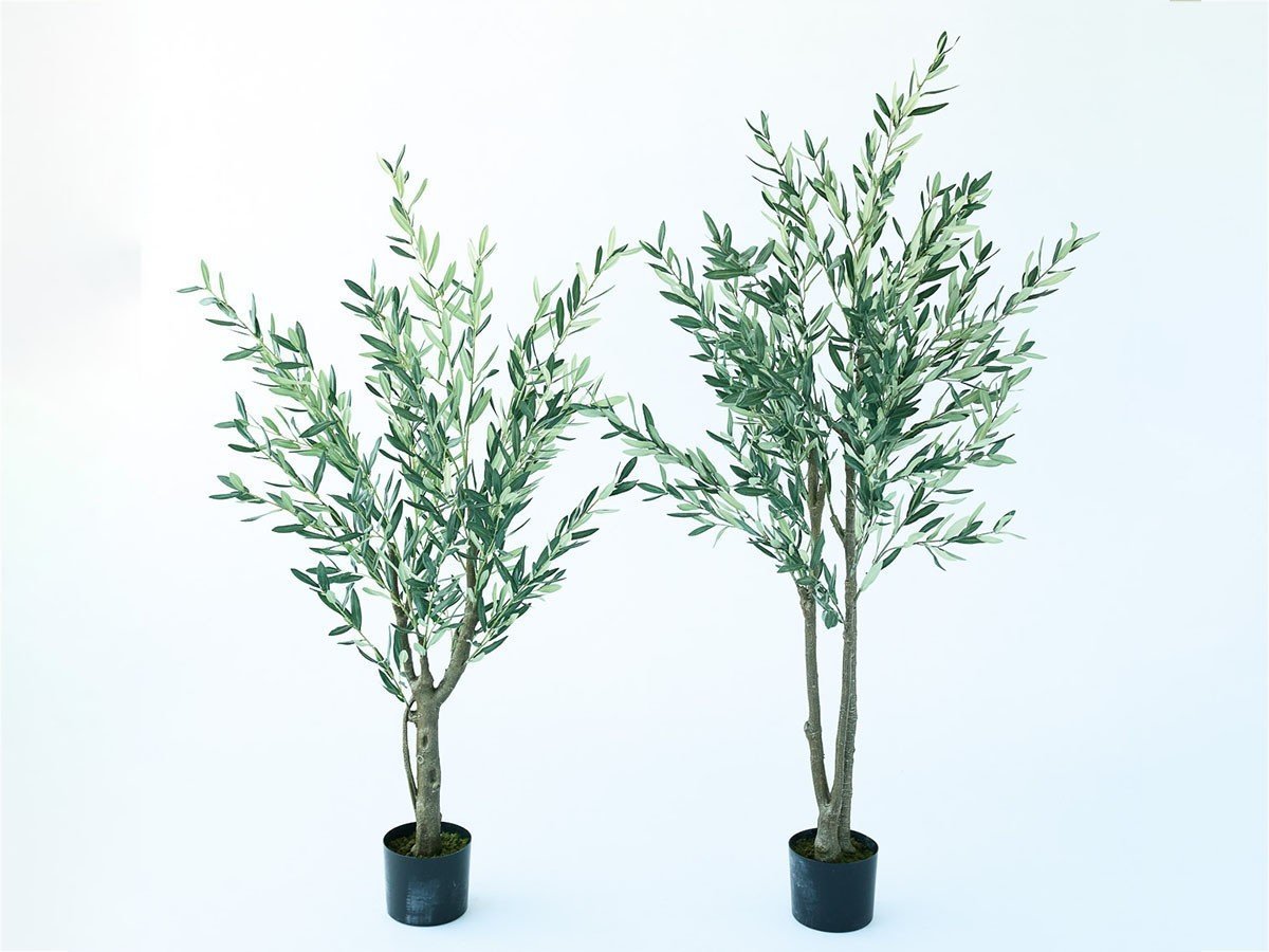 【ブラウン/BROWN / GOODS】のOlive Pot / オリーブ ポット 150 インテリア・キッズ・メンズ・レディースファッション・服の通販 founy(ファニー) 　送料無料　Free Shipping　おすすめ　Recommended / Our Picks　ホーム・キャンプ・アウトドア・お取り寄せ　Home Living / Home & Lifestyle / Camping Gear / Outdoor Camping　家具・インテリア　Home Furniture & Interior. Stylish & Functional Living Spaces　その他 インテリア雑貨、家具　Home Decor & Furniture Extras　サイズ展開がありますので、鉢や設置場所、空間に合わせてお選びいただけます。左:本商品|ID: prp329100004947961 ipo3291000000037131223