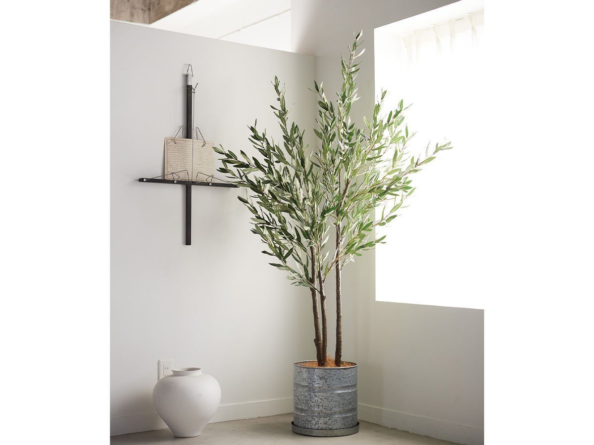 【ブラウン/BROWN / GOODS】のOlive Pot / オリーブ ポット 150 インテリア・キッズ・メンズ・レディースファッション・服の通販 founy(ファニー) 　送料無料　Free Shipping　おすすめ　Recommended / Our Picks　ホーム・キャンプ・アウトドア・お取り寄せ　Home Living / Home & Lifestyle / Camping Gear / Outdoor Camping　家具・インテリア　Home Furniture & Interior. Stylish & Functional Living Spaces　その他 インテリア雑貨、家具　Home Decor & Furniture Extras　参考イメージ|ID: prp329100004947961 ipo3291000000037131224