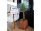 【ブラウン/BROWN / GOODS】のYucca Rostrata Pot / ユッカ ロストラータ ポット 120 参考イメージ|ID: prp329100004947971 ipo3291000000037131266