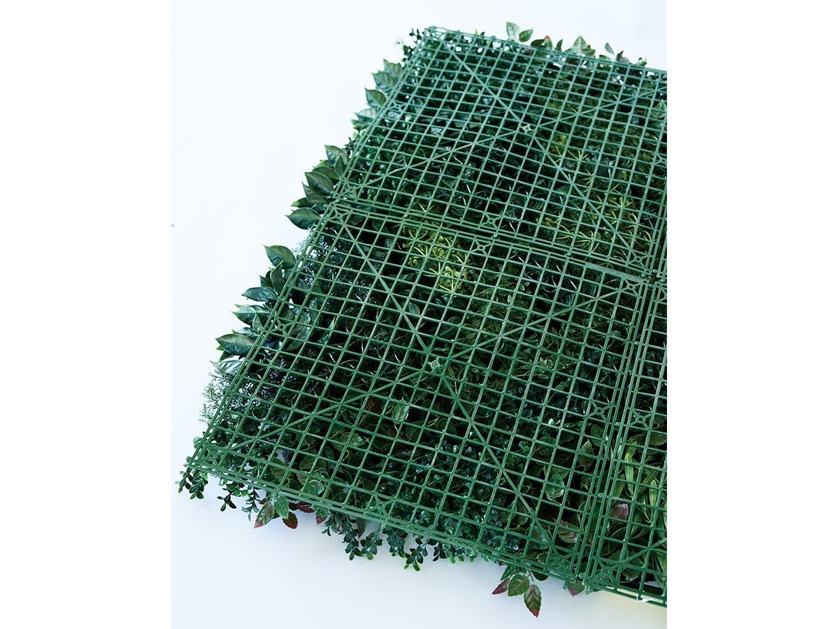 【ブラウン/BROWN / GOODS】のGreen Wall / グリーンウォール 50 DF インテリア・キッズ・メンズ・レディースファッション・服の通販 founy(ファニー) 　サッカー　Seersucker, Summer Fabric　メッシュ　Mesh, Net Fabric　おすすめ　Recommended / Our Picks　ホーム・キャンプ・アウトドア・お取り寄せ　Home Living / Home & Lifestyle / Camping Gear / Outdoor Camping　家具・インテリア　Home Furniture & Interior. Stylish & Functional Living Spaces　その他 インテリア雑貨、家具　Home Decor & Furniture Extras　裏面メッシュ参考イメージ|ID: prp329100004947972 ipo3291000000037131273