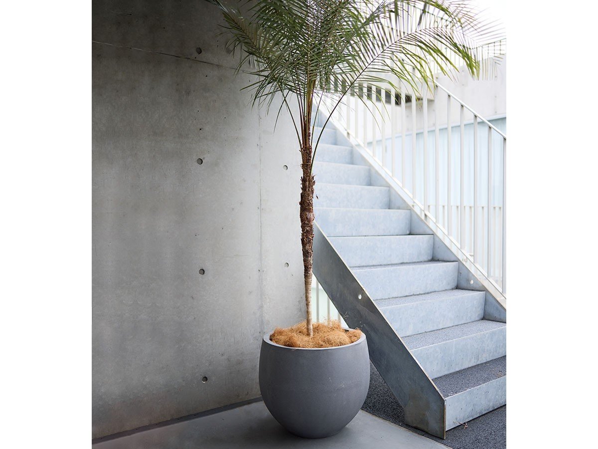 【コントン/KONTON / GOODS】のMAGNUS / マグナス オーブ 人気、トレンドファッション・服の通販 founy(ファニー) 　送料無料　Free Shipping　ガラス　Glass, Glassware　ストーン　Stone, Gem-Like　パウダー　Powder, Soft Tone　軽量　Lightweight, Ultra Light　ホーム・キャンプ・アウトドア・お取り寄せ　Home Living / Home & Lifestyle / Camping Gear / Outdoor Camping　家具・インテリア　Home Furniture & Interior. Stylish & Functional Living Spaces　その他 インテリア雑貨、家具　Home Decor & Furniture Extras　 other-1|ID: prp329100004947985 ipo3291000000037131390