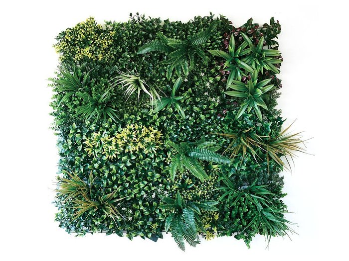 【ブラウン/BROWN / GOODS】のGreen Wall / グリーンウォール 100 SG インテリア・キッズ・メンズ・レディースファッション・服の通販 founy(ファニー) https://founy.com/ サッカー Seersucker, Summer Fabric メッシュ Mesh, Net Fabric 送料無料 Free Shipping おすすめ Recommended / Our Picks ホーム・キャンプ・アウトドア・お取り寄せ Home Living / Home & Lifestyle / Camping Gear / Outdoor Camping 家具・インテリア Home Furniture & Interior. Stylish & Functional Living Spaces その他 インテリア雑貨、家具 Home Decor & Furniture Extras |ID: prp329100004947993 ipo3291000000037131454