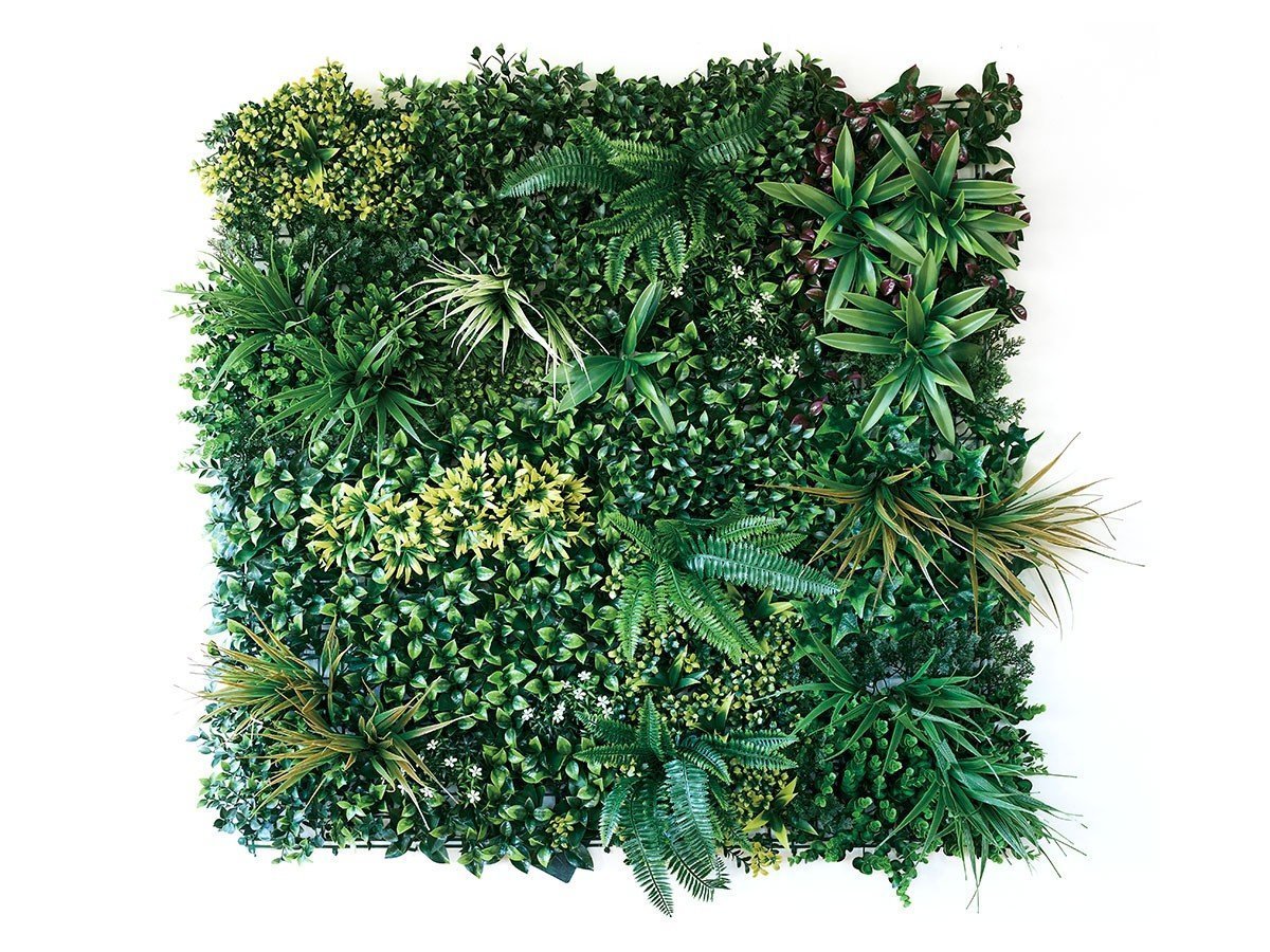 【ブラウン/BROWN / GOODS】のGreen Wall / グリーンウォール 100 SG インテリア・キッズ・メンズ・レディースファッション・服の通販 founy(ファニー) 　サッカー　Seersucker, Summer Fabric　メッシュ　Mesh, Net Fabric　送料無料　Free Shipping　おすすめ　Recommended / Our Picks　ホーム・キャンプ・アウトドア・お取り寄せ　Home Living / Home & Lifestyle / Camping Gear / Outdoor Camping　家具・インテリア　Home Furniture & Interior. Stylish & Functional Living Spaces　その他 インテリア雑貨、家具　Home Decor & Furniture Extras　-|ID: prp329100004947993 ipo3291000000037131455