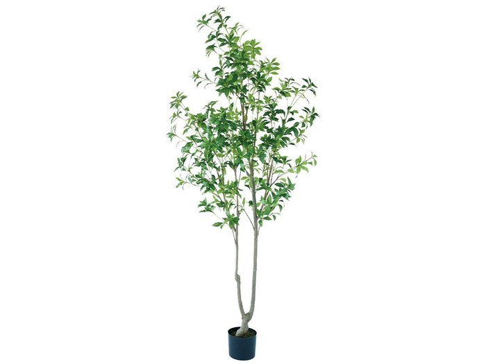 【ブラウン/BROWN / GOODS】のJapanese Andromeda Pot / アセビ ポット 210 インテリア・キッズ・メンズ・レディースファッション・服の通販 founy(ファニー) https://founy.com/ 送料無料 Free Shipping おすすめ Recommended / Our Picks ホーム・キャンプ・アウトドア・お取り寄せ Home Living / Home & Lifestyle / Camping Gear / Outdoor Camping 家具・インテリア Home Furniture & Interior. Stylish & Functional Living Spaces その他 インテリア雑貨、家具 Home Decor & Furniture Extras |ID: prp329100004947999 ipo3291000000037131482