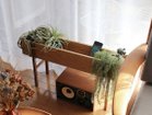 【グリニッチ オリジナル ファニチャー/greeniche original furniture / GOODS】のPlanter Wide / プランター ワイド 人気、トレンドファッション・服の通販 founy(ファニー) ワイド Wide, Wide Fit ホーム・キャンプ・アウトドア・お取り寄せ Home Living / Home & Lifestyle / Camping Gear / Outdoor Camping 家具・インテリア Home Furniture & Interior. Stylish & Functional Living Spaces その他 インテリア雑貨、家具 Home Decor & Furniture Extras thumbnail|ID: prp329100004948005 ipo3291000000037131514