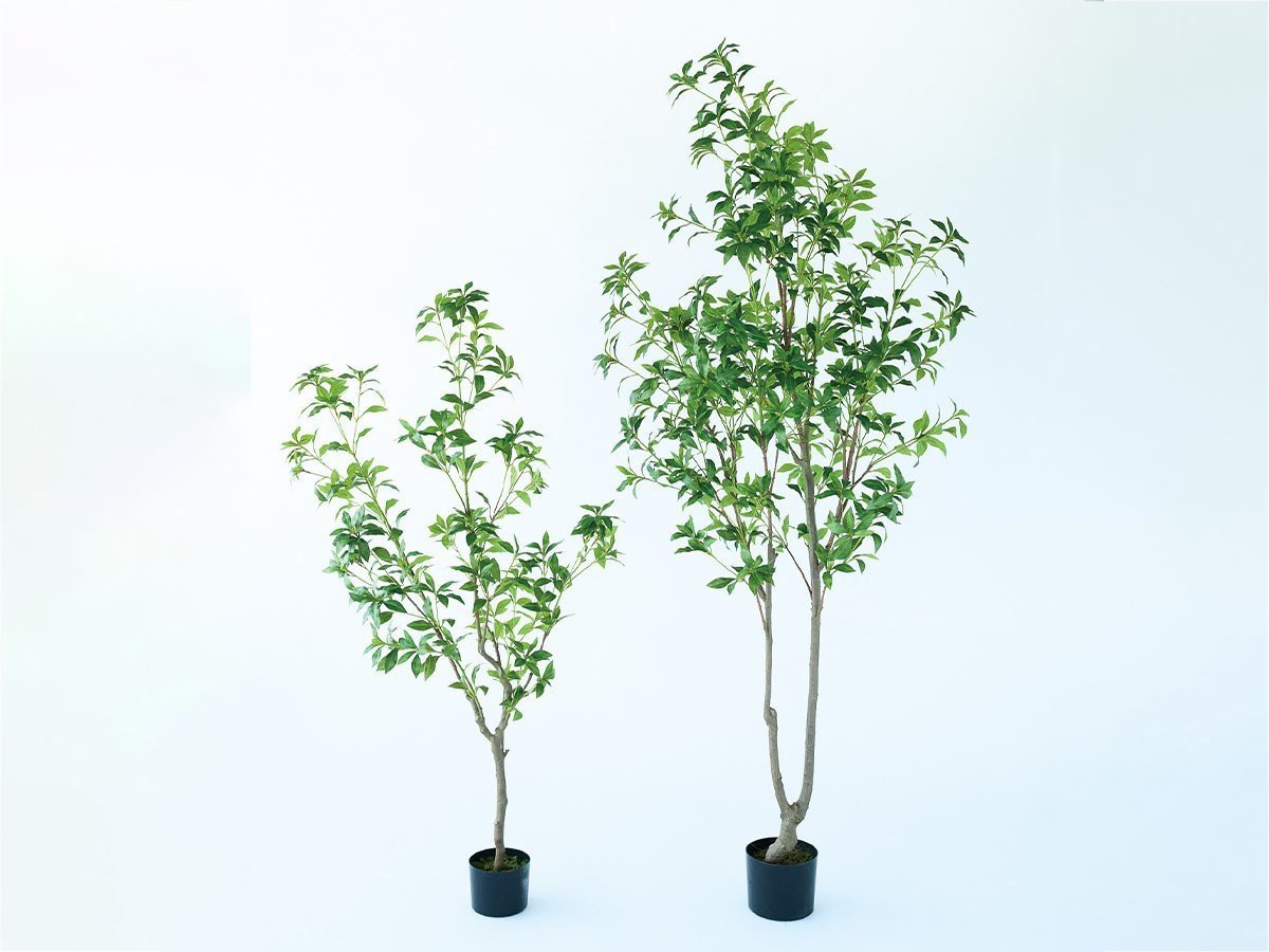 【ブラウン/BROWN / GOODS】のJapanese Andromeda Pot / アセビ ポット 150 インテリア・キッズ・メンズ・レディースファッション・服の通販 founy(ファニー) 　送料無料　Free Shipping　おすすめ　Recommended / Our Picks　ホーム・キャンプ・アウトドア・お取り寄せ　Home Living / Home & Lifestyle / Camping Gear / Outdoor Camping　家具・インテリア　Home Furniture & Interior. Stylish & Functional Living Spaces　その他 インテリア雑貨、家具　Home Decor & Furniture Extras　サイズ展開がありますので、鉢や設置場所、空間に合わせてお選びいただけます。左:本商品|ID: prp329100004948008 ipo3291000000037131553