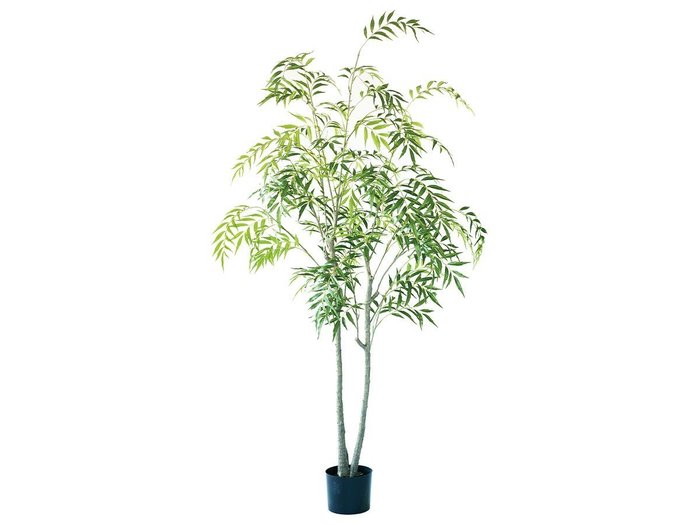 【ブラウン/BROWN / GOODS】のChinese Mahonia Pot / マホニア コンフューサ ポット 180 インテリア・キッズ・メンズ・レディースファッション・服の通販 founy(ファニー) https://founy.com/ 送料無料 Free Shipping おすすめ Recommended / Our Picks ホーム・キャンプ・アウトドア・お取り寄せ Home Living / Home & Lifestyle / Camping Gear / Outdoor Camping 家具・インテリア Home Furniture & Interior. Stylish & Functional Living Spaces その他 インテリア雑貨、家具 Home Decor & Furniture Extras |ID: prp329100004948014 ipo3291000000037131582