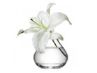 【エルエスエー インターナショナル/LSA international / GOODS】のFLOWER SPRIG VASE / フラワー スプリグベース -|ID: prp329100004948018 ipo3291000000037131628