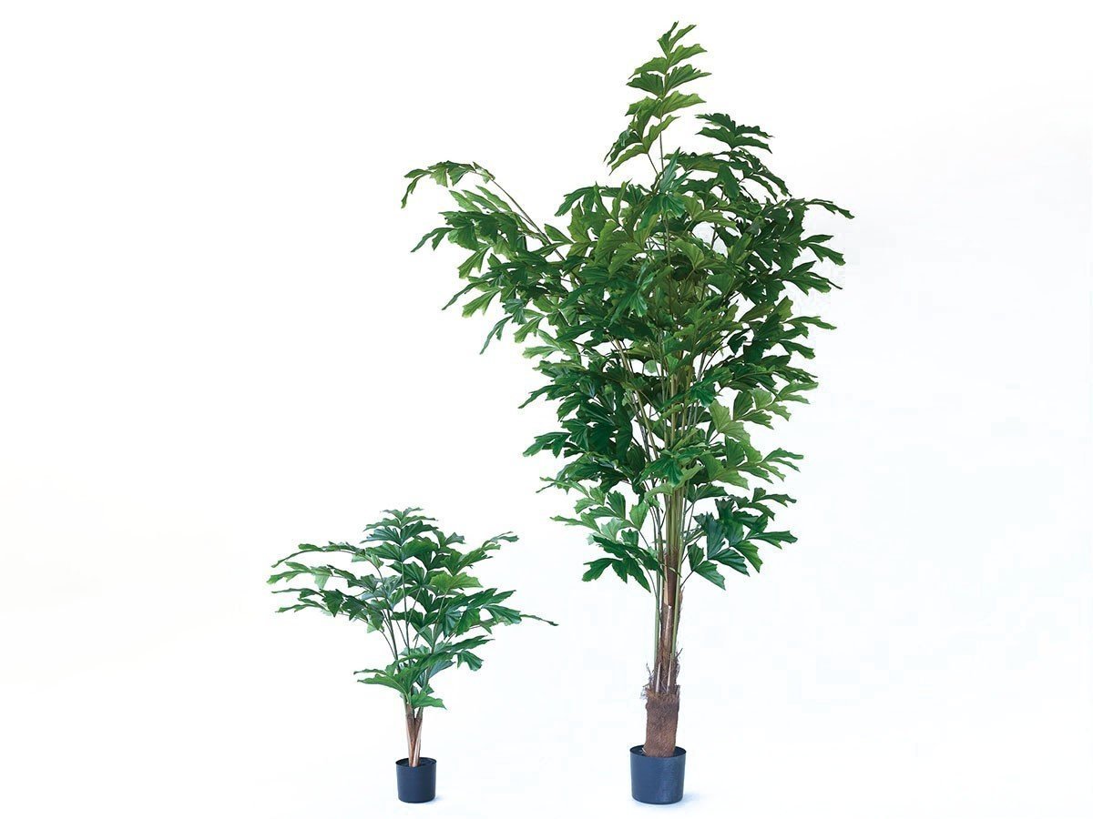 【ブラウン/BROWN / GOODS】のPeacock Palm Pot / クジャクヤシ ポット 90 インテリア・キッズ・メンズ・レディースファッション・服の通販 founy(ファニー) 　おすすめ　Recommended / Our Picks　ホーム・キャンプ・アウトドア・お取り寄せ　Home Living / Home & Lifestyle / Camping Gear / Outdoor Camping　家具・インテリア　Home Furniture & Interior. Stylish & Functional Living Spaces　その他 インテリア雑貨、家具　Home Decor & Furniture Extras　サイズ展開がありますので、鉢や設置場所、空間に合わせてお選びいただけます。左:本商品|ID: prp329100004948037 ipo3291000000037131696