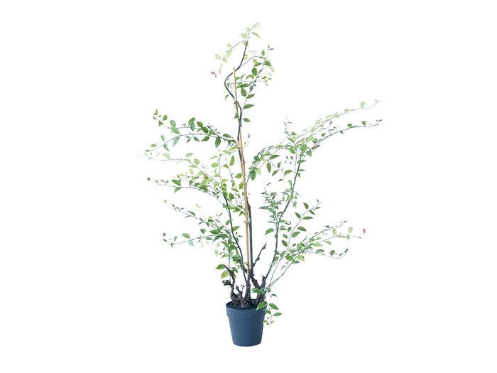 【ブラウン/BROWN / GOODS】のRiberry Pot / ライベリー ポット 105 インテリア・キッズ・メンズ・レディースファッション・服の通販 founy(ファニー) https://founy.com/ おすすめ Recommended / Our Picks ホーム・キャンプ・アウトドア・お取り寄せ Home Living / Home & Lifestyle / Camping Gear / Outdoor Camping 家具・インテリア Home Furniture & Interior. Stylish & Functional Living Spaces その他 インテリア雑貨、家具 Home Decor & Furniture Extras |ID: prp329100004948047 ipo3291000000037131725