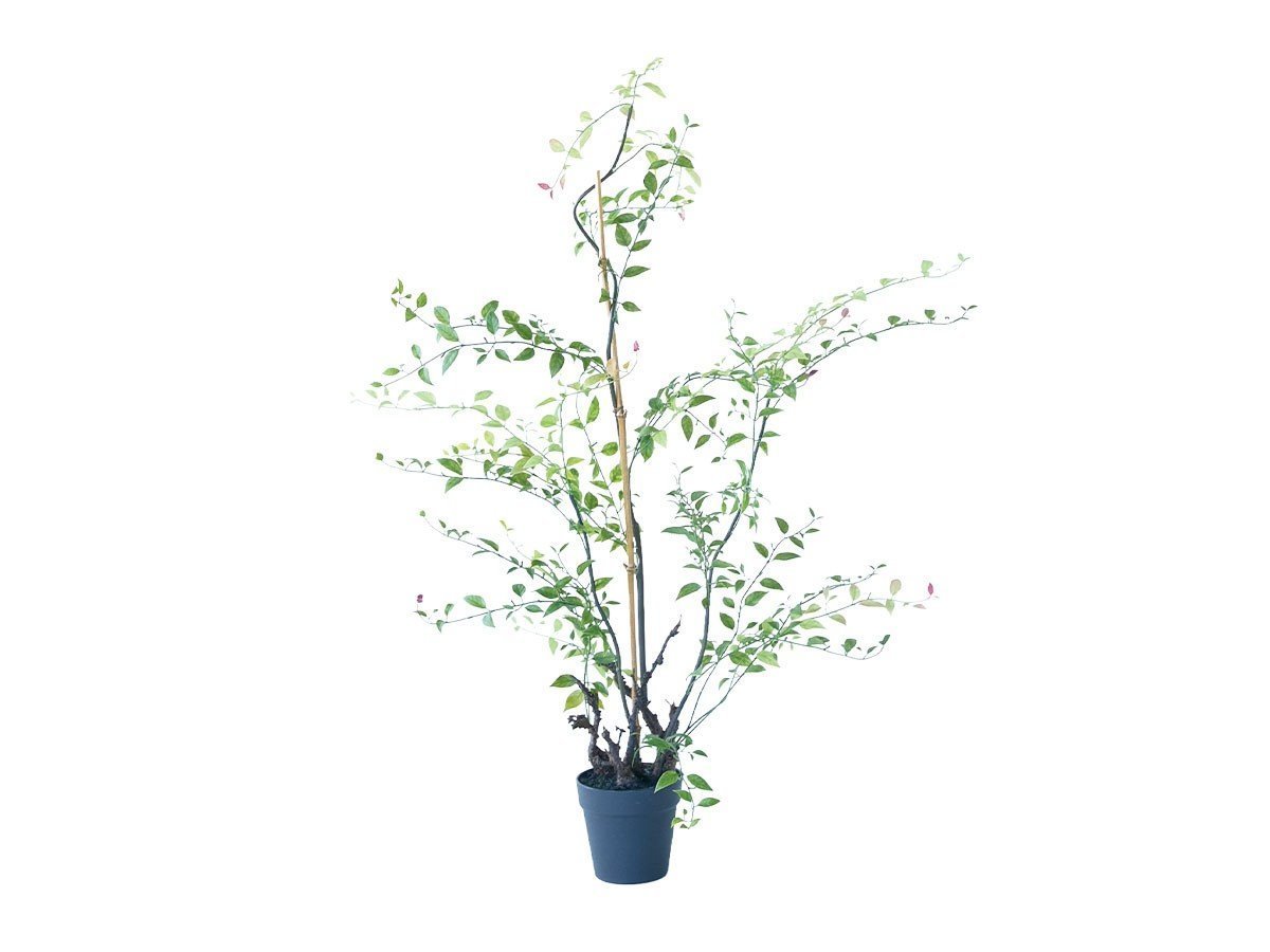 【ブラウン/BROWN / GOODS】のRiberry Pot / ライベリー ポット 105 インテリア・キッズ・メンズ・レディースファッション・服の通販 founy(ファニー) 　おすすめ　Recommended / Our Picks　ホーム・キャンプ・アウトドア・お取り寄せ　Home Living / Home & Lifestyle / Camping Gear / Outdoor Camping　家具・インテリア　Home Furniture & Interior. Stylish & Functional Living Spaces　その他 インテリア雑貨、家具　Home Decor & Furniture Extras　-|ID: prp329100004948047 ipo3291000000037131726