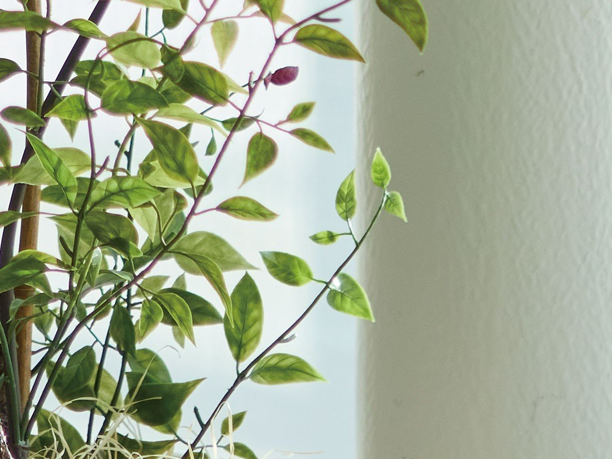 【ブラウン/BROWN / GOODS】のRiberry Pot / ライベリー ポット 105 インテリア・キッズ・メンズ・レディースファッション・服の通販 founy(ファニー) 　おすすめ　Recommended / Our Picks　ホーム・キャンプ・アウトドア・お取り寄せ　Home Living / Home & Lifestyle / Camping Gear / Outdoor Camping　家具・インテリア　Home Furniture & Interior. Stylish & Functional Living Spaces　その他 インテリア雑貨、家具　Home Decor & Furniture Extras　参考イメージ|ID: prp329100004948047 ipo3291000000037131729