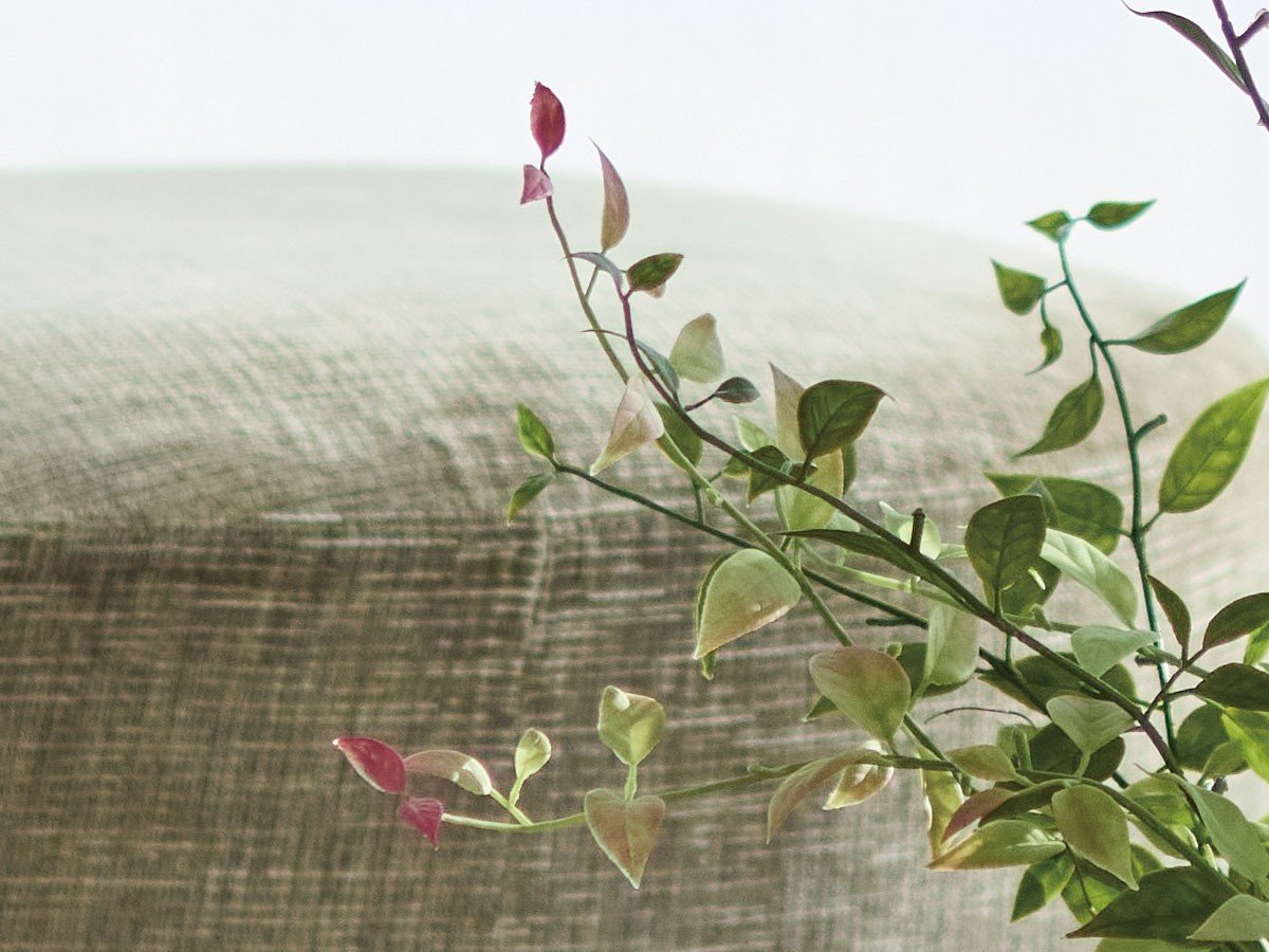 【ブラウン/BROWN / GOODS】のRiberry Pot / ライベリー ポット 105 インテリア・キッズ・メンズ・レディースファッション・服の通販 founy(ファニー) 　おすすめ　Recommended / Our Picks　ホーム・キャンプ・アウトドア・お取り寄せ　Home Living / Home & Lifestyle / Camping Gear / Outdoor Camping　家具・インテリア　Home Furniture & Interior. Stylish & Functional Living Spaces　その他 インテリア雑貨、家具　Home Decor & Furniture Extras　参考イメージ|ID: prp329100004948047 ipo3291000000037131730