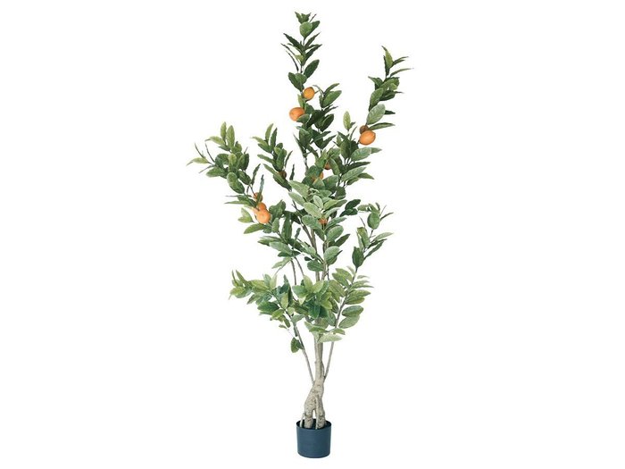 【ブラウン/BROWN / GOODS】のLemon Tree Pot / レモンの木 ポット 183 インテリア・キッズ・メンズ・レディースファッション・服の通販 founy(ファニー) https://founy.com/ 送料無料 Free Shipping おすすめ Recommended / Our Picks ホーム・キャンプ・アウトドア・お取り寄せ Home Living / Home & Lifestyle / Camping Gear / Outdoor Camping 家具・インテリア Home Furniture & Interior. Stylish & Functional Living Spaces その他 インテリア雑貨、家具 Home Decor & Furniture Extras |ID: prp329100004948053 ipo3291000000037131771